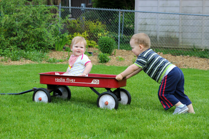 119 red wagon