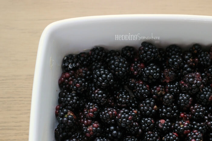 205 blackberries